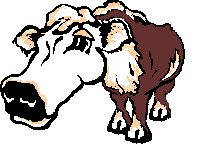 cow-c